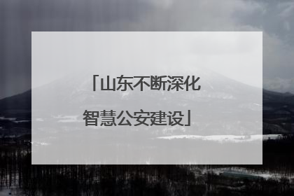 山东不断深化智慧公安建设