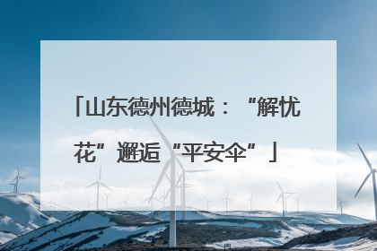 山东德州德城：“解忧花”邂逅“平安伞”