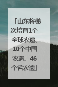 山东将梯次培育1个全球农遗、10个中国农遗、46个省农遗
