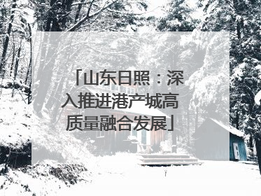 山东日照：深入推进港产城高质量融合发展