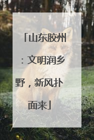 山东胶州：文明润乡野，新风扑面来