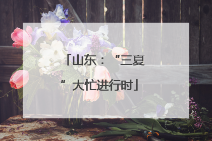 山东：“三夏”大忙进行时
