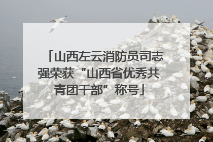 山西左云消防员司志强荣获“山西省优秀共青团干部”称号