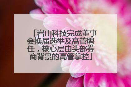 岩山科技完成董事会换届选举及高管聘任，核心层由头部券商背景的高管掌控