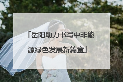 岳阳助力书写中非能源绿色发展新篇章