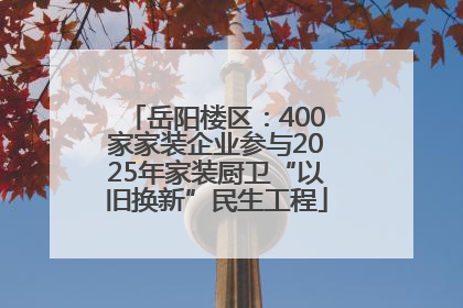 岳阳楼区：400家家装企业参与2025年家装厨卫“以旧换新”民生工程