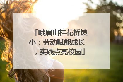 峨眉山桂花桥镇小：劳动赋能成长，实践点亮校园