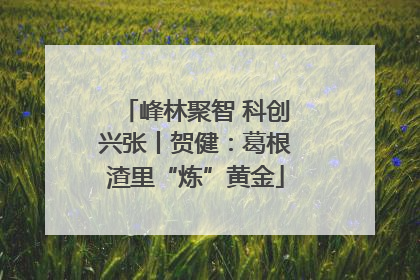 峰林聚智 科创兴张丨贺健：葛根渣里“炼”黄金