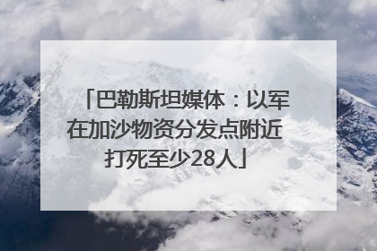 巴勒斯坦媒体：以军在加沙物资分发点附近打死至少28人