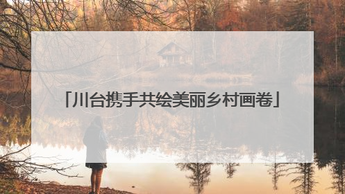 川台携手共绘美丽乡村画卷