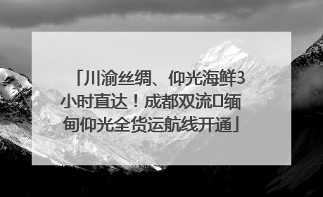 川渝丝绸、仰光海鲜3小时直达！成都双流⇌缅甸仰光全货运航线开通