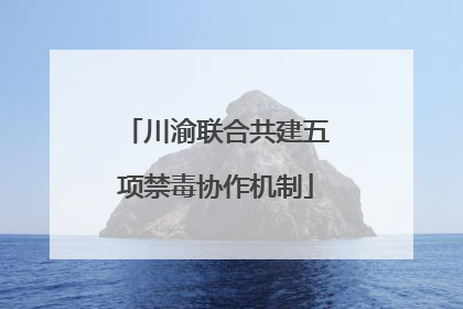 川渝联合共建五项禁毒协作机制