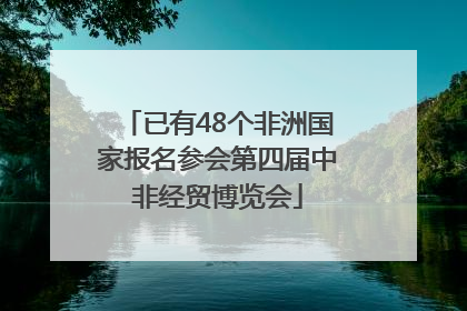 已有48个非洲国家报名参会第四届中非经贸博览会