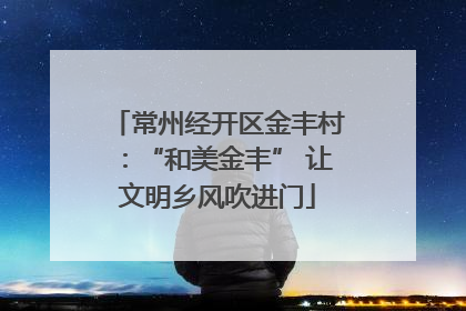 常州经开区金丰村：“和美金丰” 让文明乡风吹进门