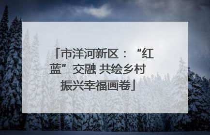 市洋河新区：“红蓝”交融 共绘乡村振兴幸福画卷