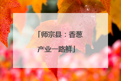 师宗县：香葱产业一路鲜