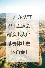 广东队夺得十五运会群众七人足球赛佛山赛区首金