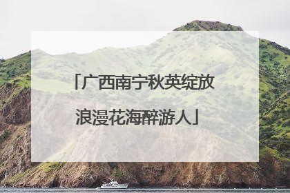 广西南宁秋英绽放 浪漫花海醉游人