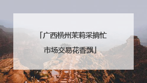 广西横州茉莉采摘忙 市场交易花香飘