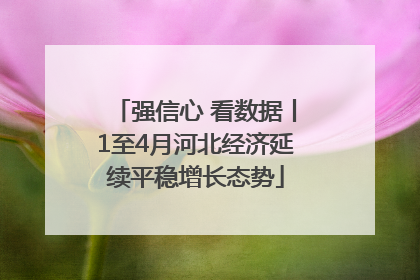 强信心 看数据丨1至4月河北经济延续平稳增长态势
