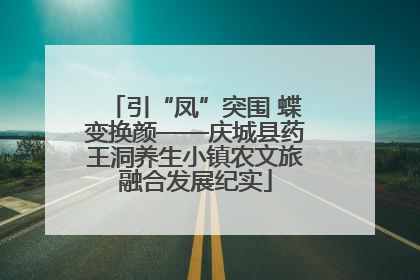 引“凤”突围 蝶变换颜——庆城县药王洞养生小镇农文旅融合发展纪实