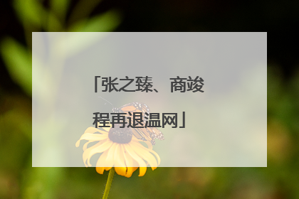 张之臻、商竣程再退温网