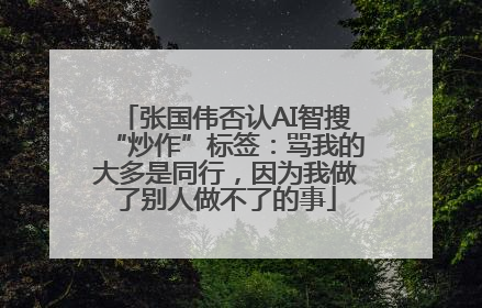 张国伟否认AI智搜“炒作”标签：骂我的大多是同行，因为我做了别人做不了的事
