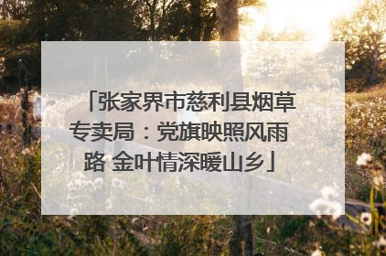 张家界市慈利县烟草专卖局：党旗映照风雨路 金叶情深暖山乡