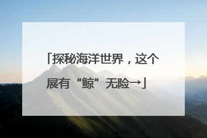 探秘海洋世界，这个展有“鲸”无险→