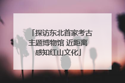 探访东北首家考古主题博物馆 近距离感知红山文化