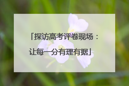 探访高考评卷现场：让每一分有理有据