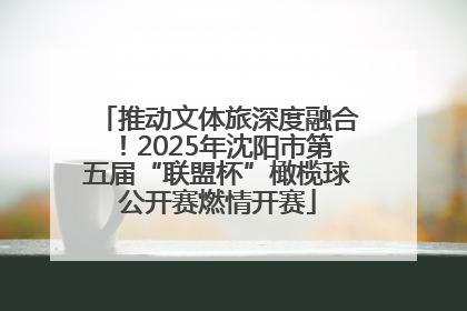 推动文体旅深度融合！2025年沈阳市第五届“联盟杯”橄榄球公开赛燃情开赛