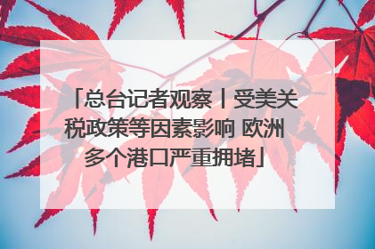 总台记者观察丨受美关税政策等因素影响 欧洲多个港口严重拥堵