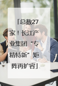 总数27家！长江产业集团“专精特新”矩阵再扩容