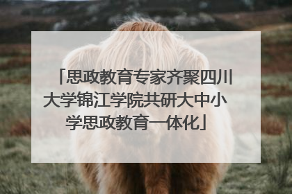 思政教育专家齐聚四川大学锦江学院共研大中小学思政教育一体化