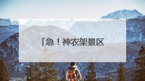 急！神农架景区：日薪500元，急招“野人”！
