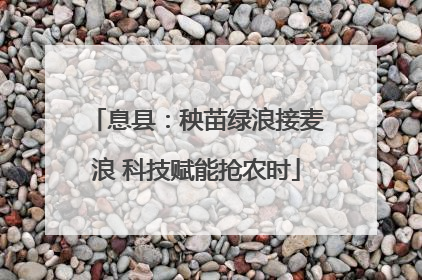 息县：秧苗绿浪接麦浪 科技赋能抢农时