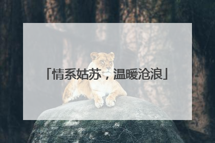 情系姑苏，温暖沧浪