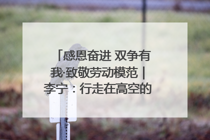 感恩奋进 双争有我·致敬劳动模范｜李宁：行走在高空的“电网卫士”