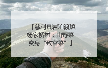 慈利县岩泊渡镇杨家桥村：山野菜变身“致富菜”
