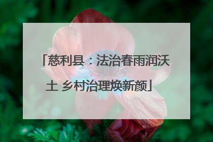 慈利县：法治春雨润沃土 乡村治理焕新颜