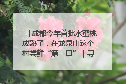 成都今年首批水蜜桃成熟了，在龙泉山这个村尝鲜“第一口”｜寻找和美乡村推荐官