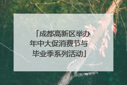 成都高新区举办年中大促消费节与毕业季系列活动