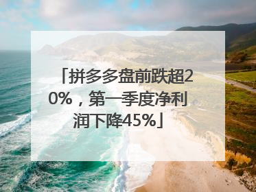 拼多多盘前跌超20%，第一季度净利润下降45%