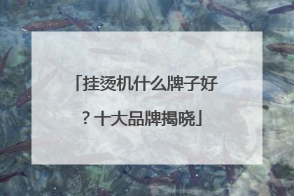 挂烫机什么牌子好？十大品牌揭晓