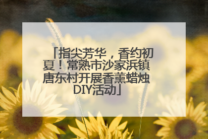指尖芳华，香约初夏！常熟市沙家浜镇唐东村开展香薰蜡烛DIY活动