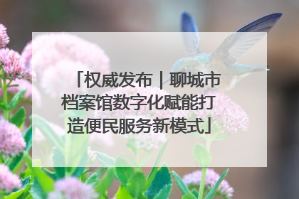 权威发布｜聊城市档案馆数字化赋能打造便民服务新模式