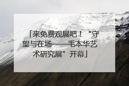 来免费观展吧！“守望与在场——毛本华艺术研究展”开幕