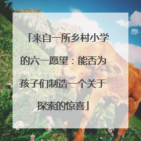 来自一所乡村小学的六一愿望：能否为孩子们制造一个关于探索的惊喜