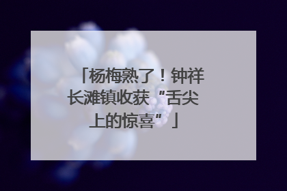 杨梅熟了！钟祥长滩镇收获“舌尖上的惊喜”